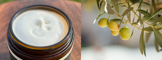 Tallow and Olives hanging on a tree
